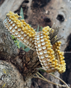 Gold Ghungroo Cluster Kundan & Pearl Kada