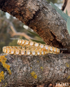 Bezel-Set Hexagonal Kundan Gold Bangles